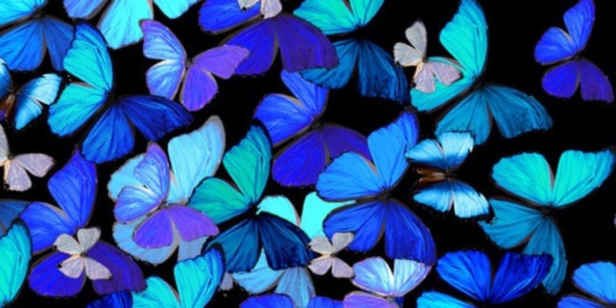 AlthiaLathea's profile banner image