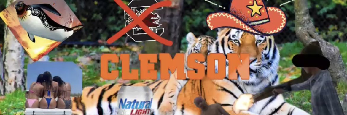 Tiger “McFly” Ty banner