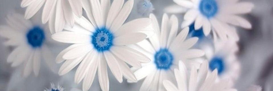 Margarita Pérez banner