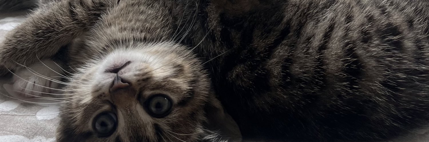 𝑢𝑠𝑒𝑟 banner