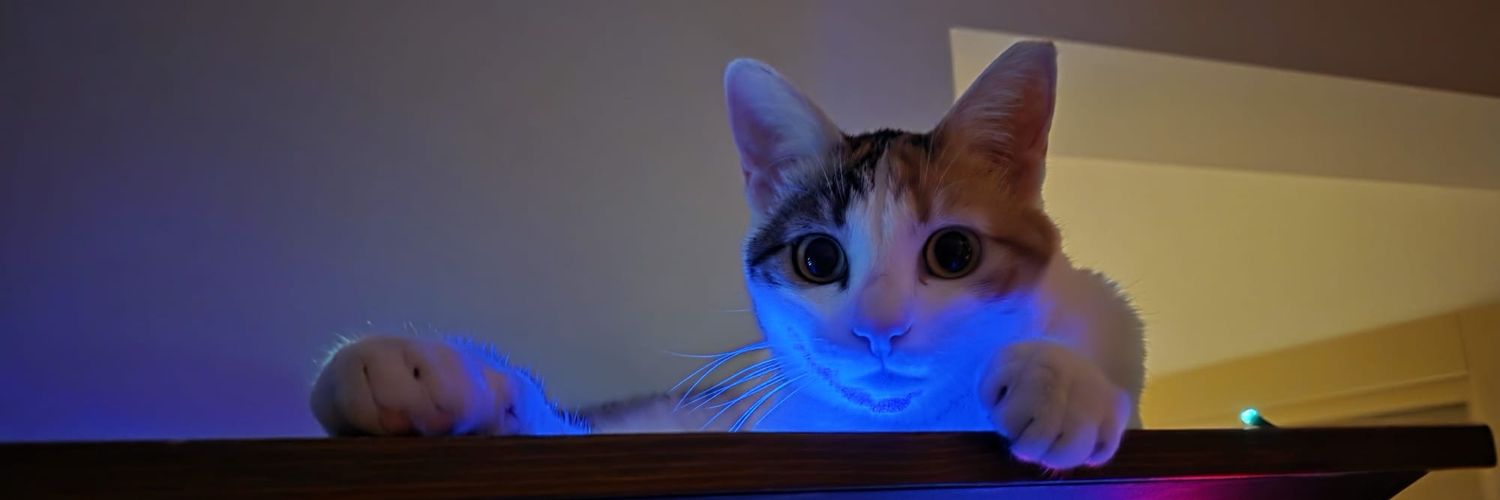 dilekmuratoglu1's profile banner image
