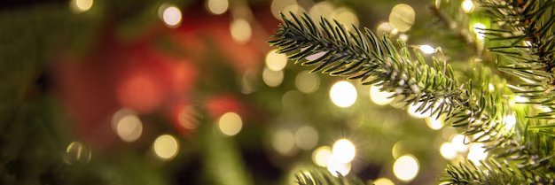Methmas banner