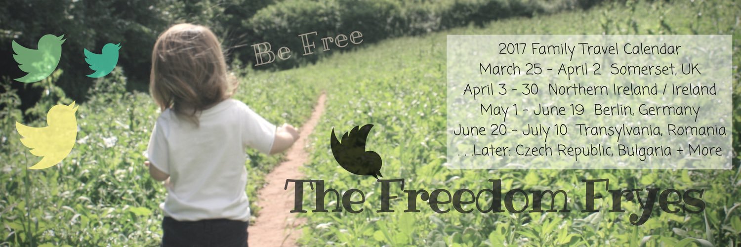 TheFreedomFryes's profile banner image