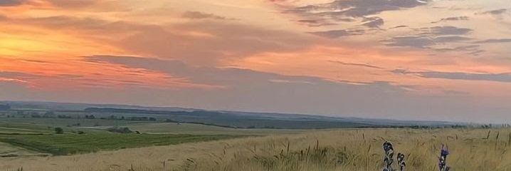 Bothooon's profile banner image