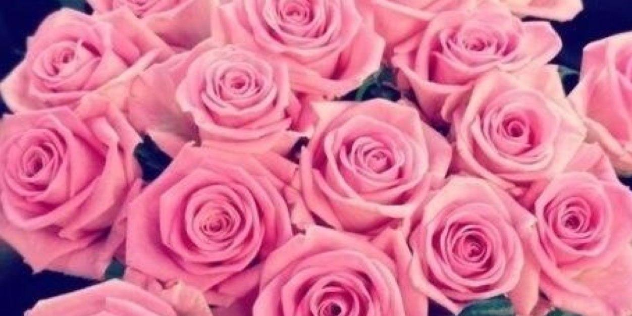 NatureFairy__'s profile banner image