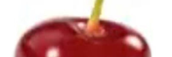 reiksito1286989 Profile Banner