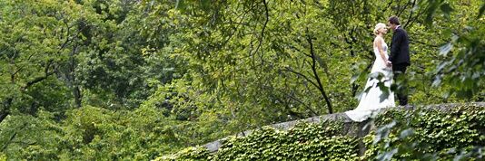 GardnerHamilton's profile banner image