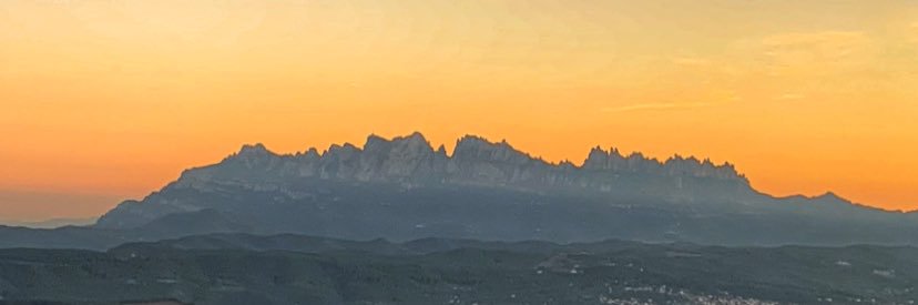 quim corominas banner