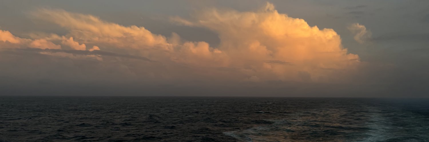 onlyahole's profile banner image