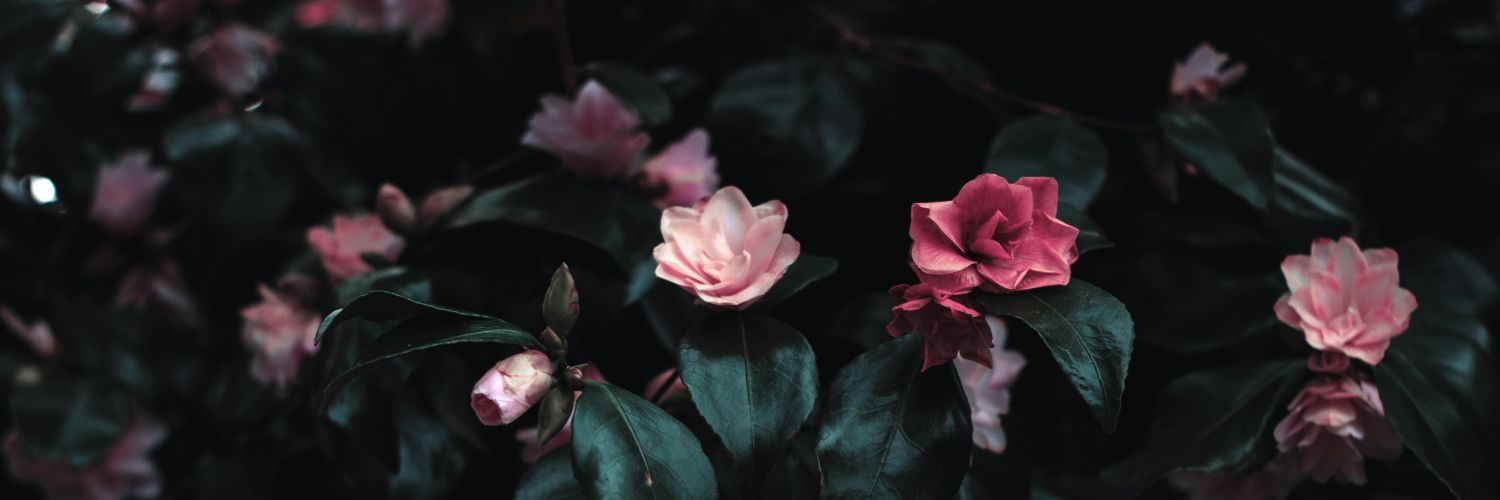 irmatju's profile banner image