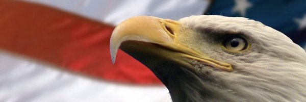 Taxwaster1 Profile Banner