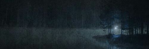 infpdarkside's profile banner image