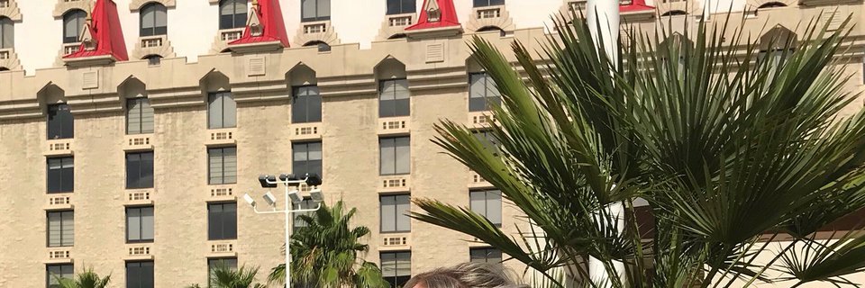 BeyonceRedbird's profile banner image