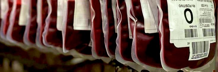 vein . banner