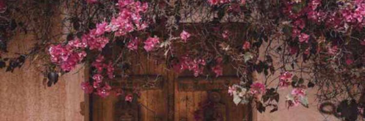 amal43189's profile banner image