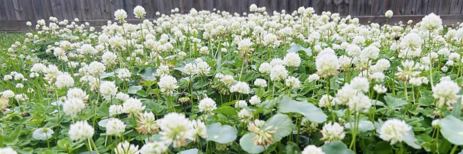 Chef Nate (Kruisibu Kameau) banner