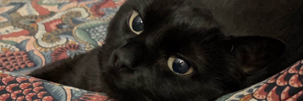 CravingCaffeine's profile banner image