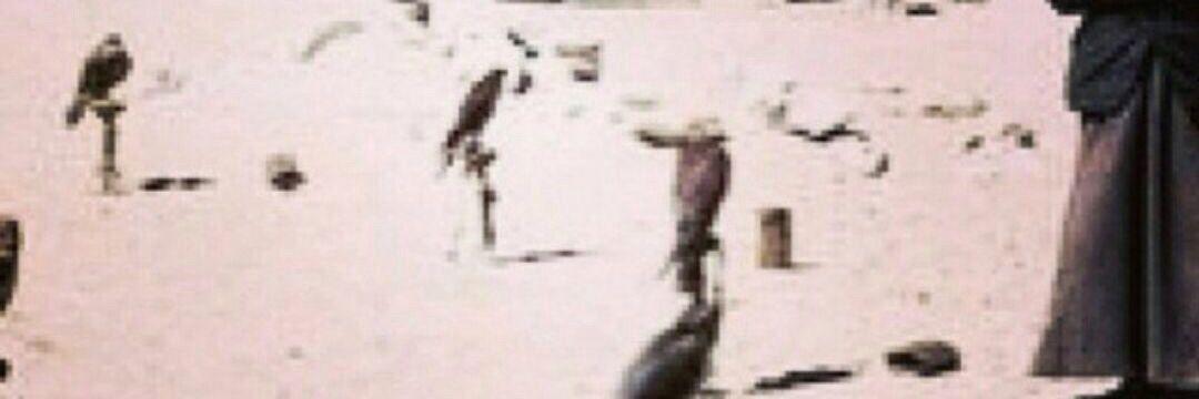 Anzh194's profile banner image