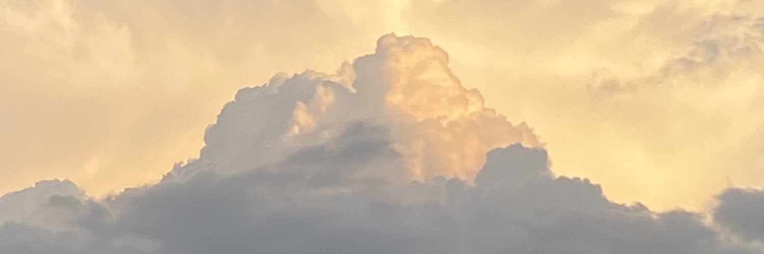 MsPRly's profile banner image