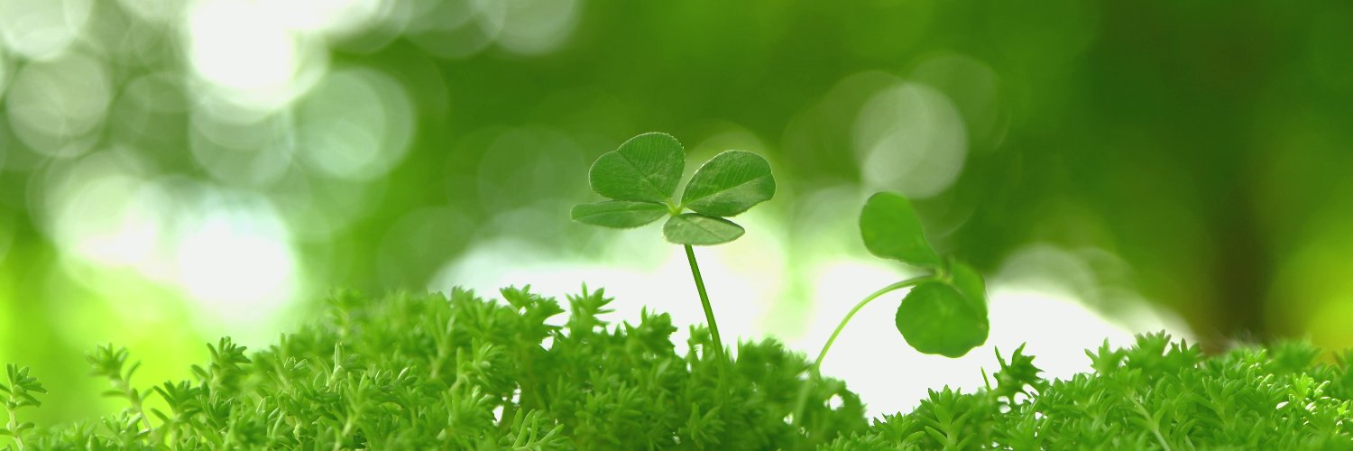 CLOVERS Inc.'s banner