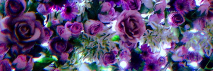 SkullRose711's profile banner image