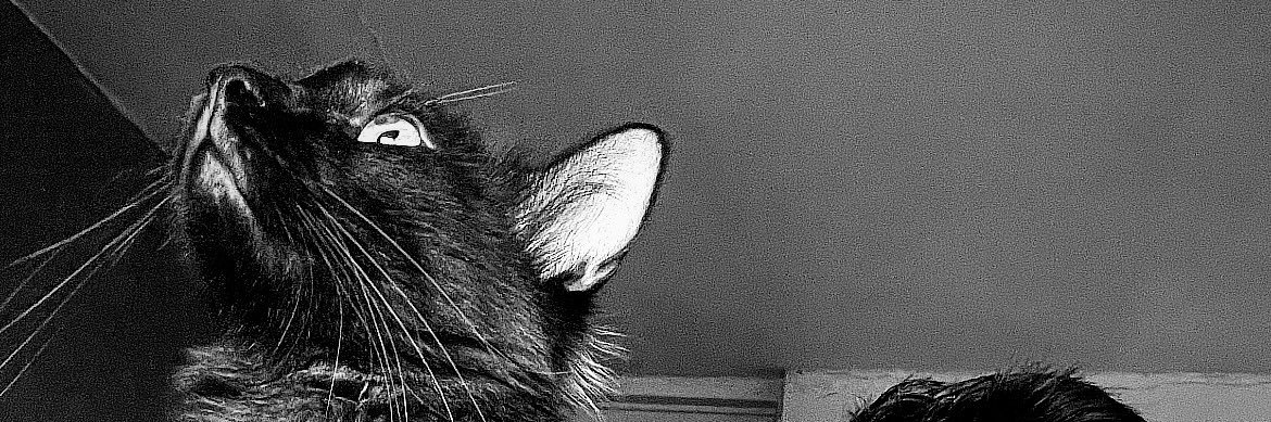 ♛Javier_M²♔™ banner