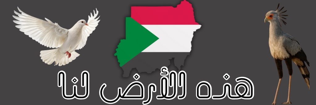 Musaab🐊 banner