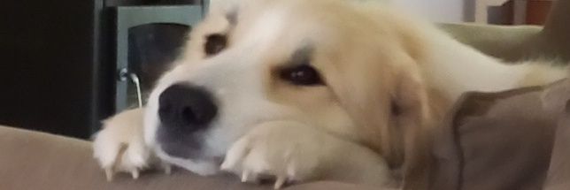 ClarouMin's profile banner image