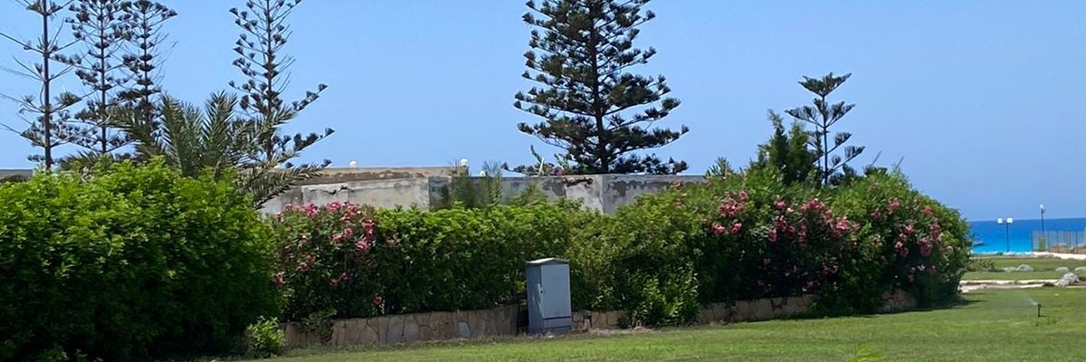 Hamzaelsayed_'s profile banner image