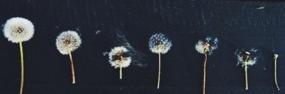 alexjservin's profile banner image