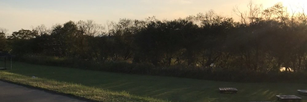 成迫萌桜　Moemi Narisako (New) banner