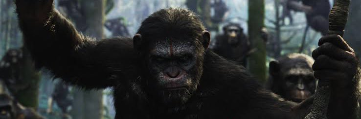 Gorilldawg banner