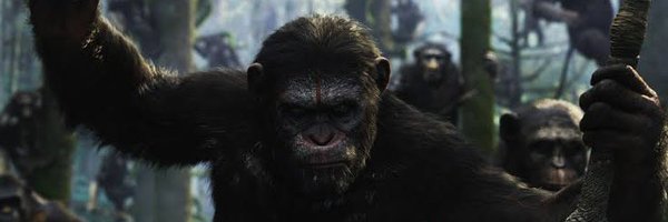 Gorildog Profile Banner