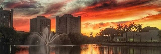 King_George7's profile banner image