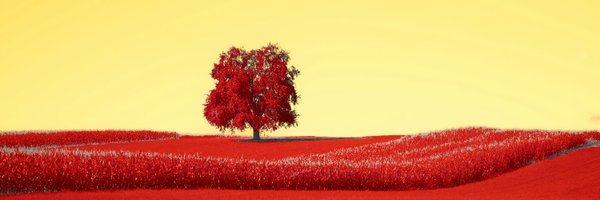 murmur101010 Profile Banner