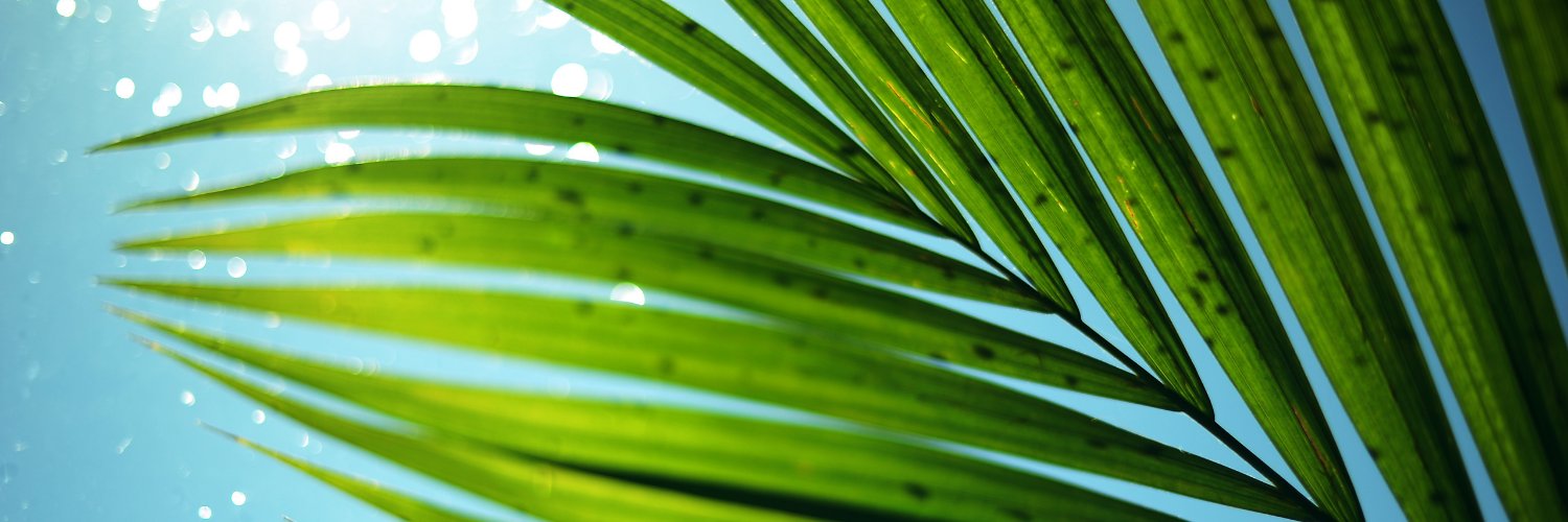 Julia661332's profile banner image