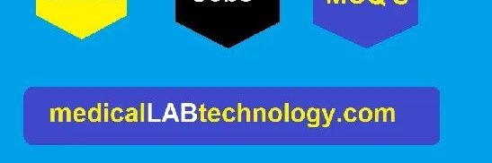 mlabtechnology's profile banner image