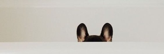 ElenaTileva's profile banner image