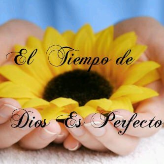 luisa_77287's profile banner image