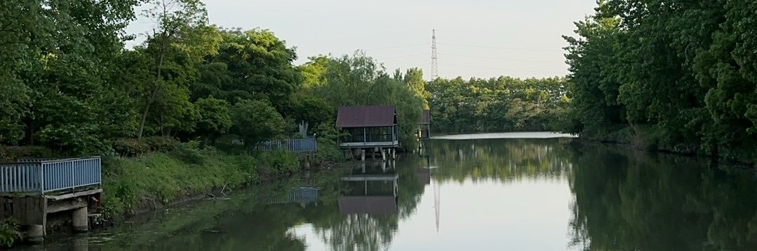 冬参 banner
