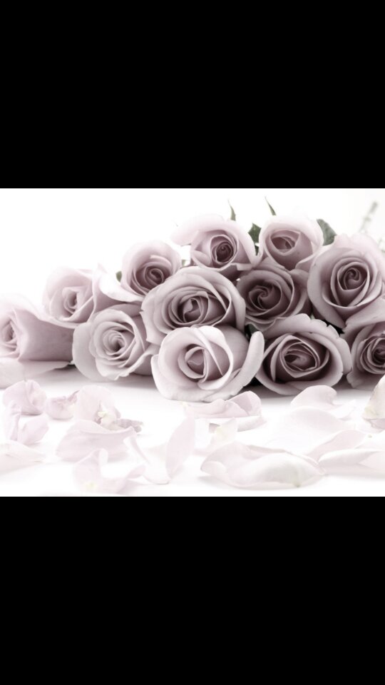 celiafadhilla's profile banner image