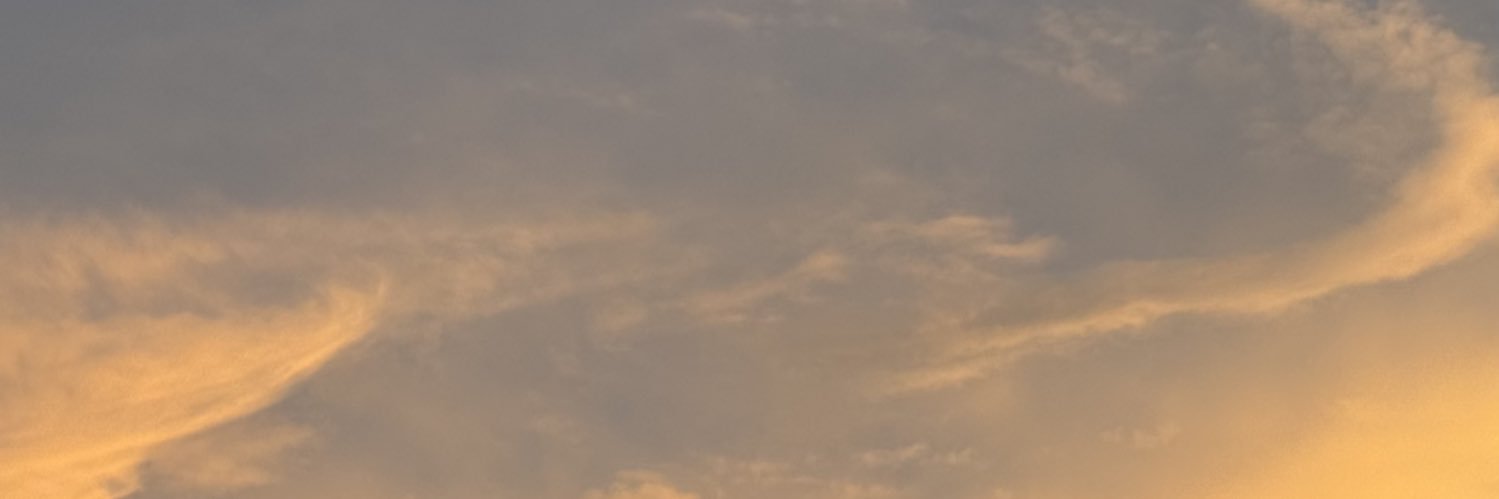 eltansharg's profile banner image