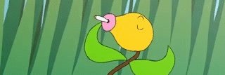 Gnofensa's profile banner image