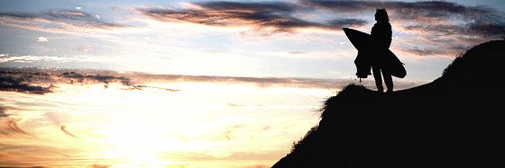 ♕VIDAL♕ banner