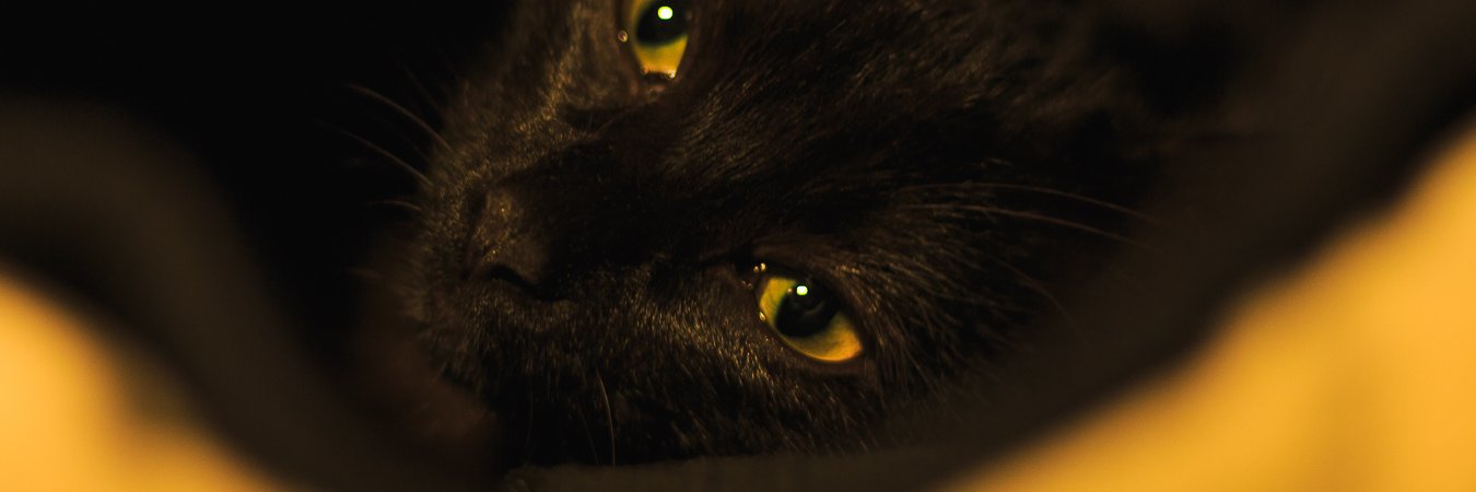 TocheEgo's profile banner image