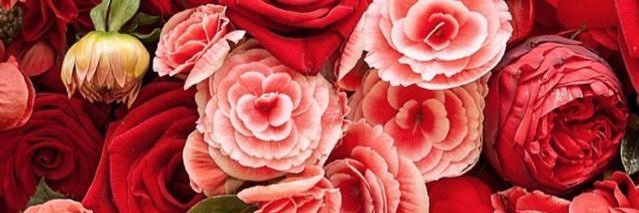 Christinnan_'s profile banner image