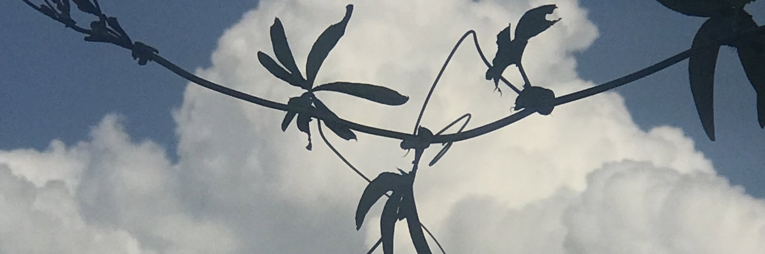 sopabbbbb's profile banner image