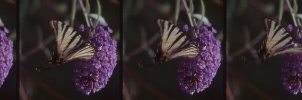 modernworldwid Profile Banner
