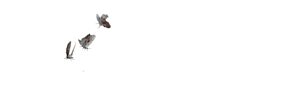 onnnagata Profile Banner