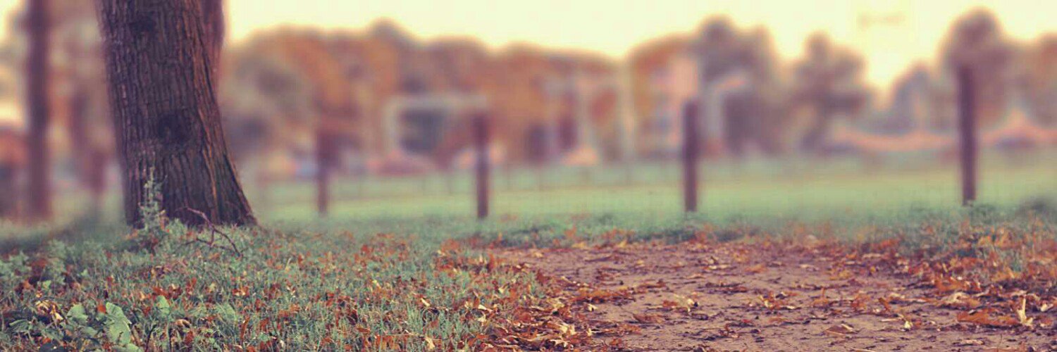 sebas_marquez's profile banner image